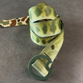 DRIFT BELT LARGEMOUTH BASS - REVERSIBLE