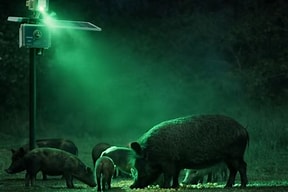 HOGFADER Illuminator Hog Hunting Feeder Light-with Mounting kit