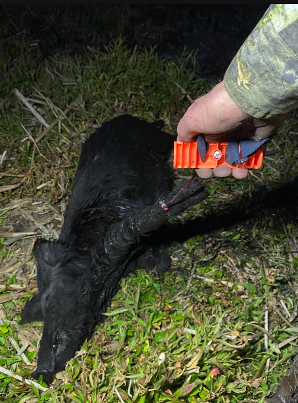 Wild Game Cuffs Drag System - 24"