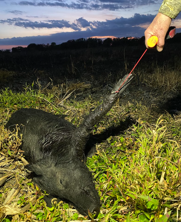 Wild Game Cuffs Drag System - 24"